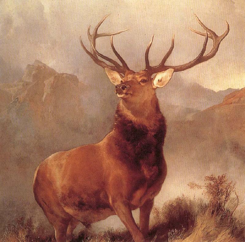 Sir Edwin Landseer Monarch of The Glen Norge oil painting art